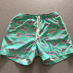 Chubbies Youth Swim Trunks 