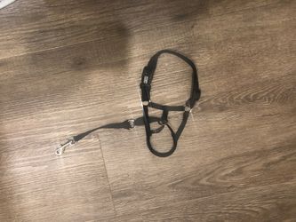 Top Paw Holt Head Collar