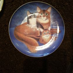 Cat Portrait Plates