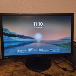 ASUS 22" Monitor
