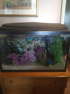 New And Used Fish Tank Decorations For Sale In Buffalo Ny Offerup