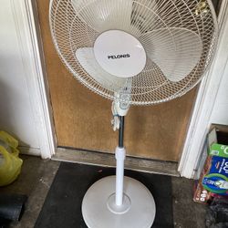 Oscilatin Fan 