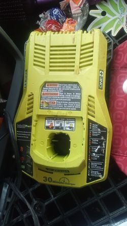 Ryobi ONE Plus 30 Minute Charger