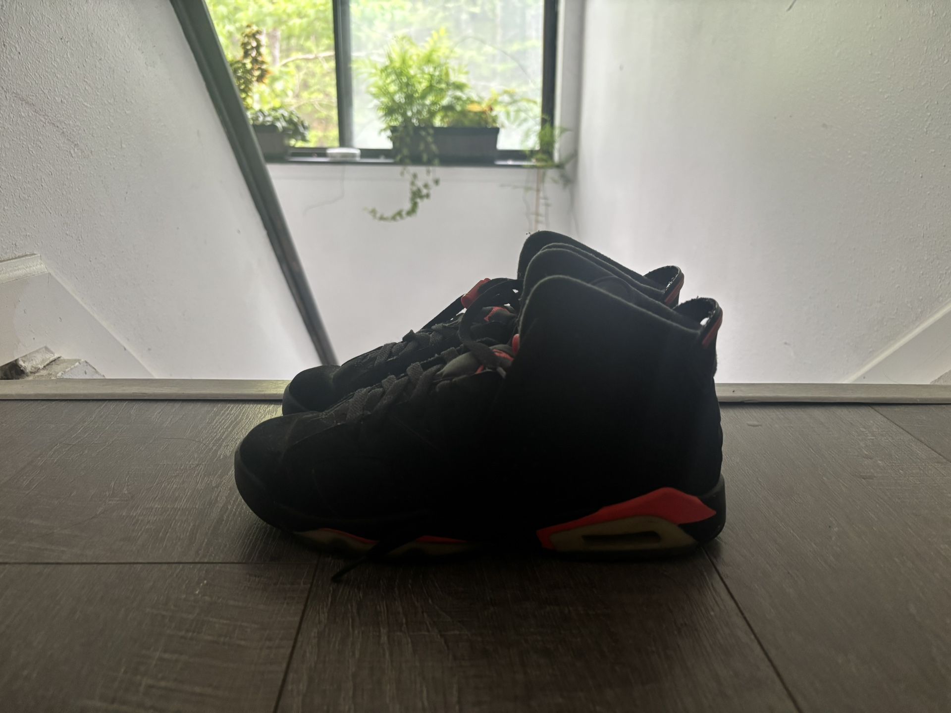 Infrared 2014 Jordan 6s