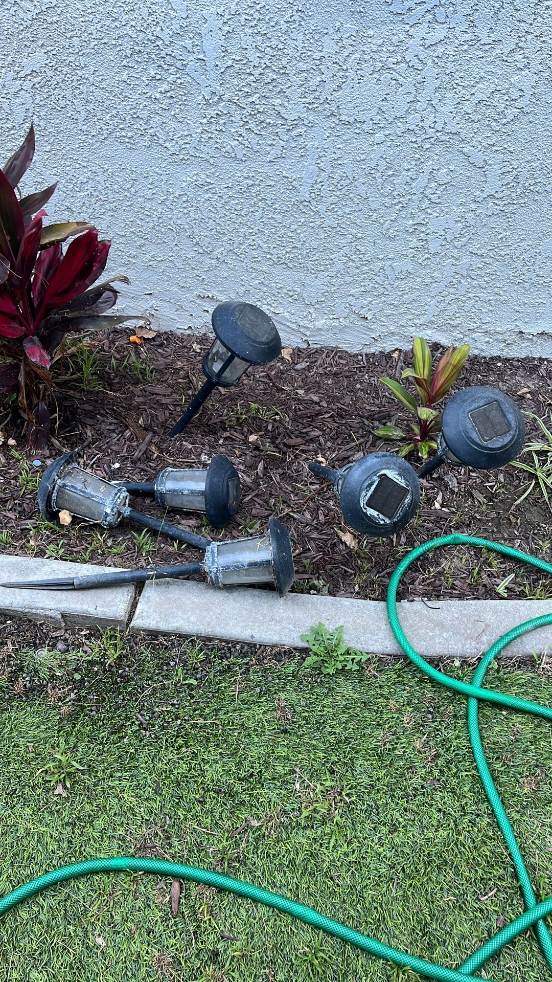 Solar Patio Lights