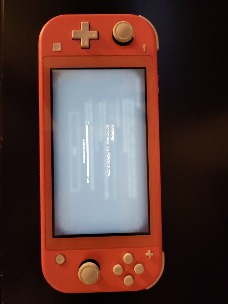 Nintendo Switch Lite 