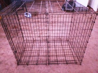 Large dog kennel great conditions