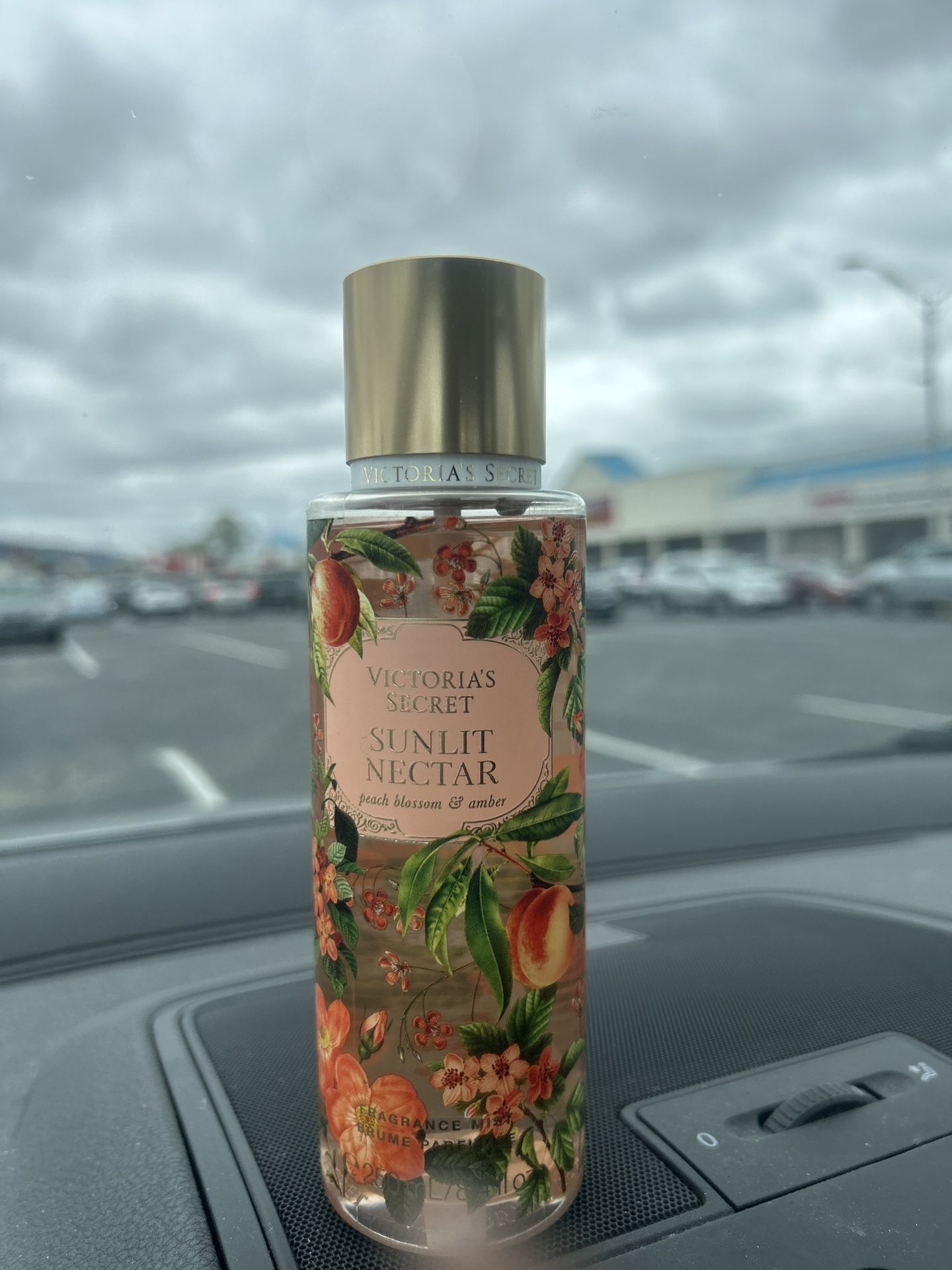 Victoria’s Secret Clean Out.