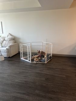 Indoor Dog Playpen