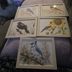 Framed Wall Art Prints. Set of 5.