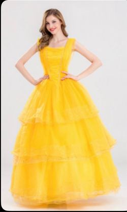 Beauty and the beast costume / Belle / the beast / Prince Charming