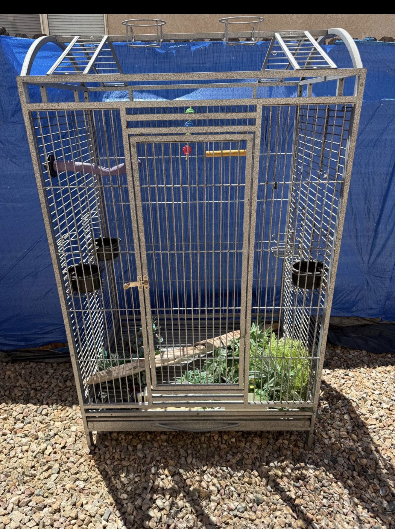 Bird Cage