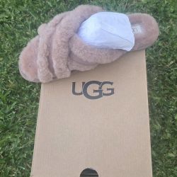 Ugg Slipper 