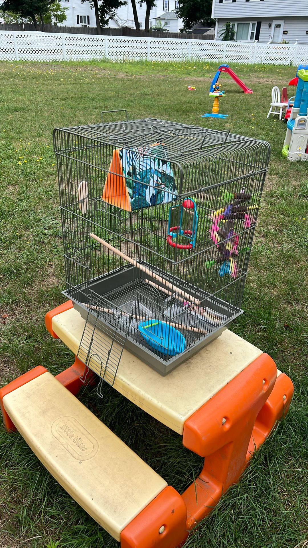 Bird Cage