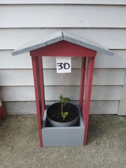 Wellhouse planter