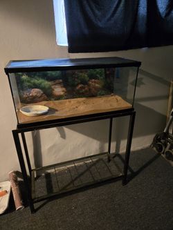 30 Gallon Reptile Tank w/ Stand