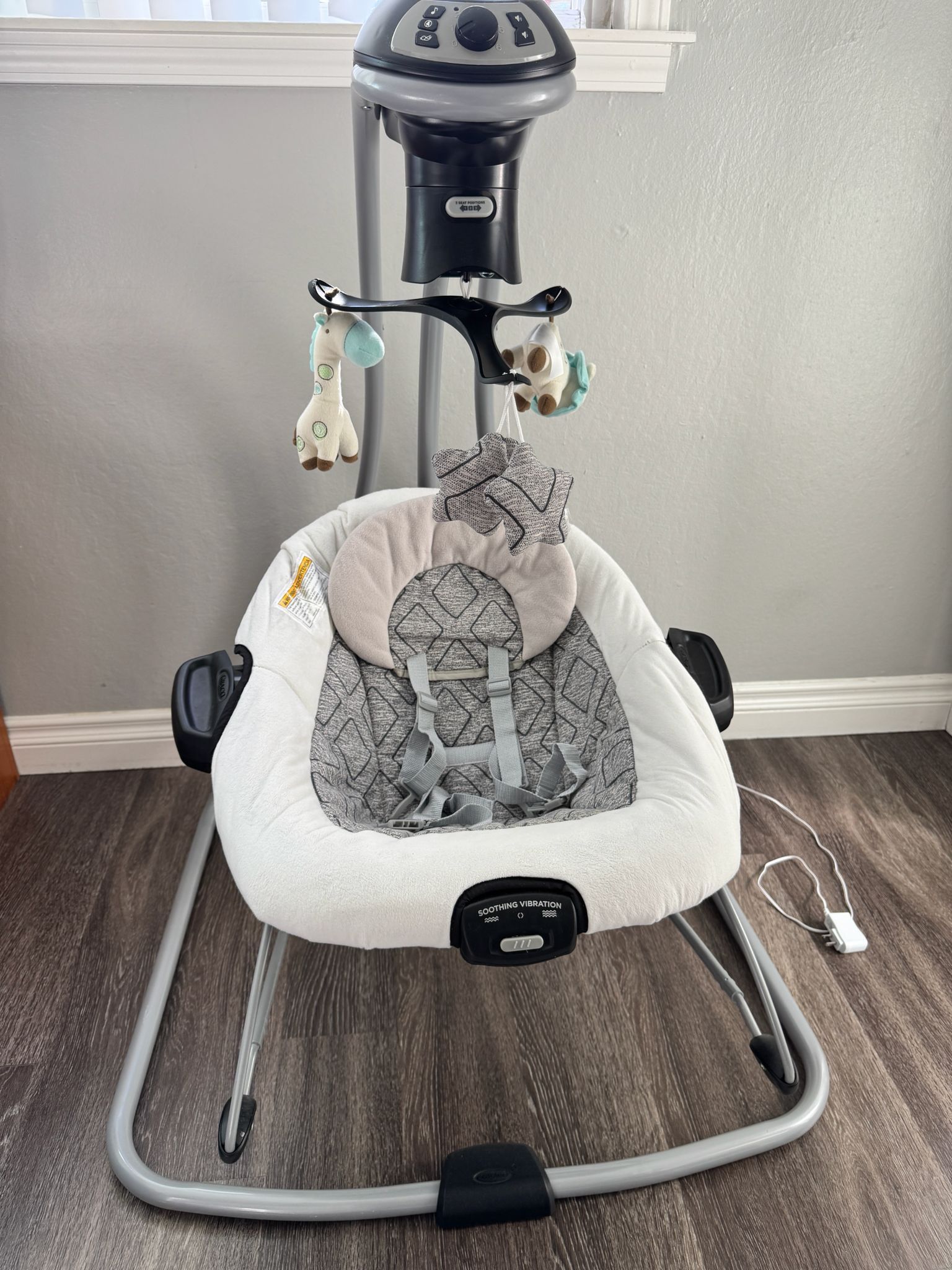 Graco Duo Connect Lx Bouncer and Swing