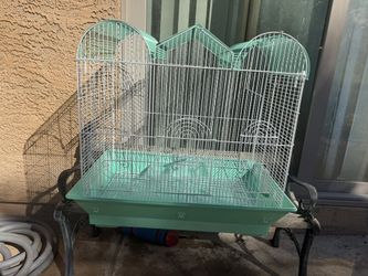 Bird Cage