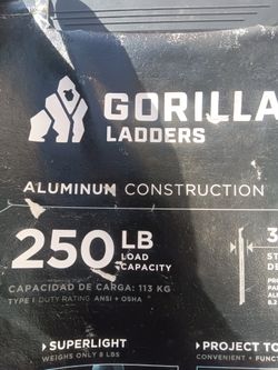 Gorilla Aluminum Ladder 