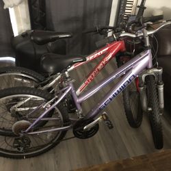 Trek and Shwinn bikes 24 in