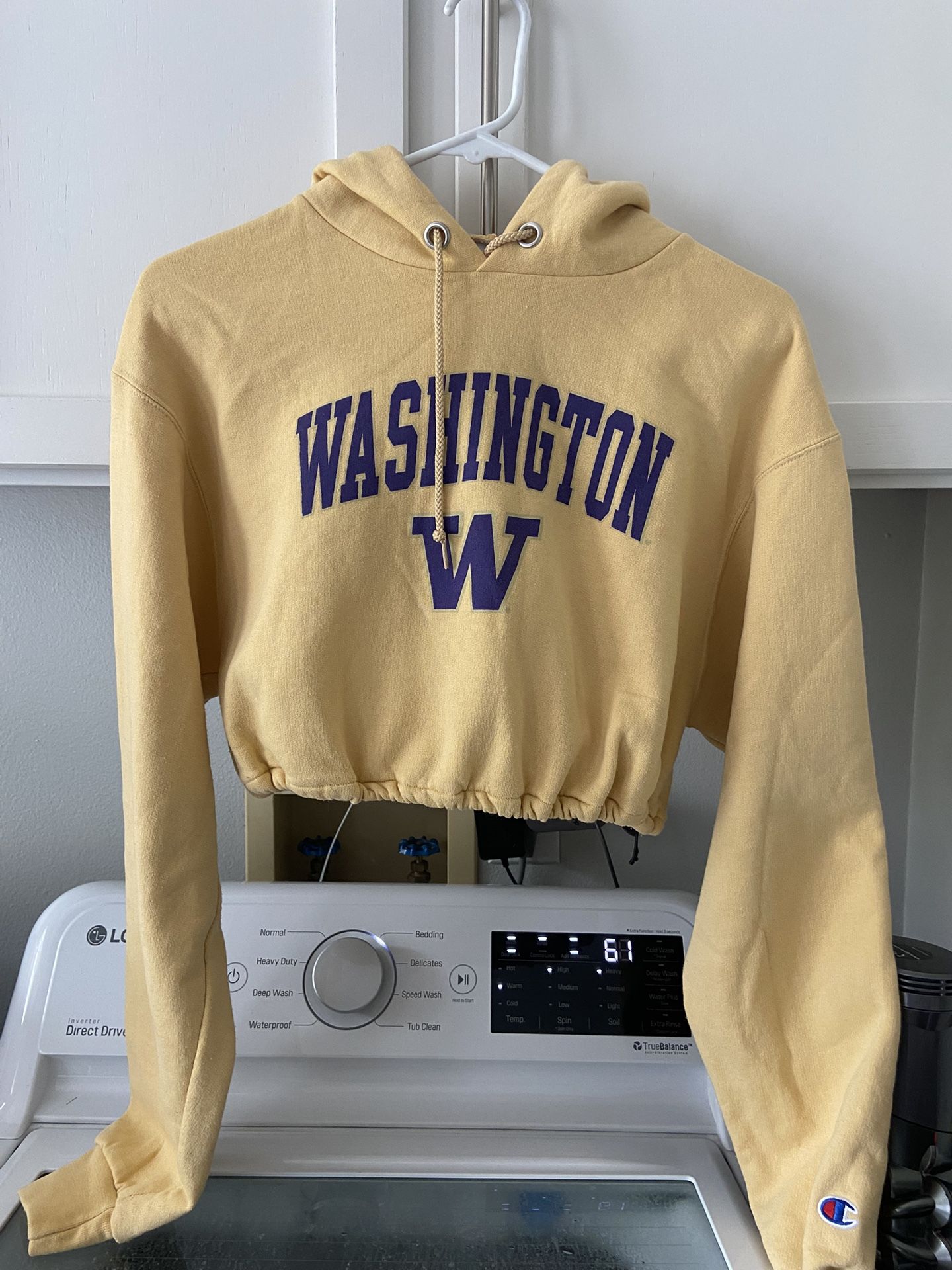 Women’s Champion Cropped UW Hoodie - Size Medium