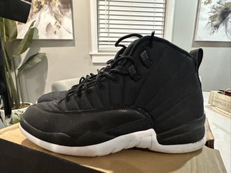 Air Jordan Retro 12