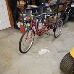 Monterey Adult Tricycle 