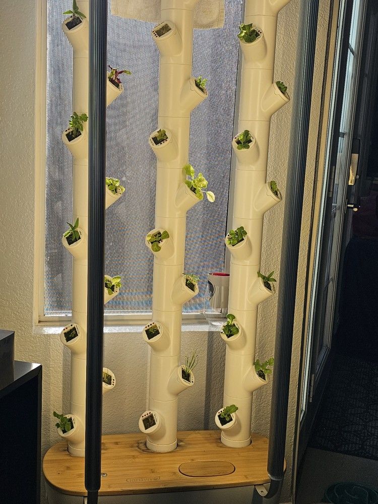 Gardyn 2.0 Hydroponic Gardening System With Accessories And Pods