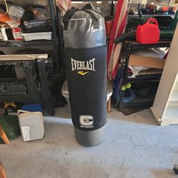 Everlast Punching Bag