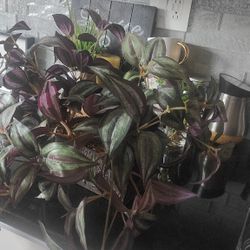 Fake Plant