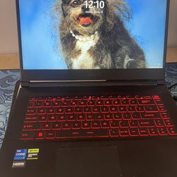 MSI Gaming Laptop 