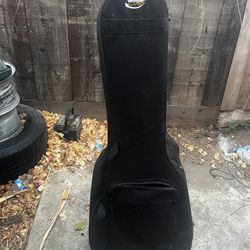 Guitar Case 