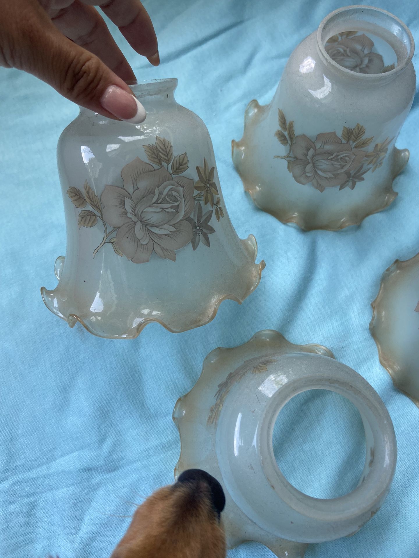 Vintage Lamp Shade Glass Fixtures