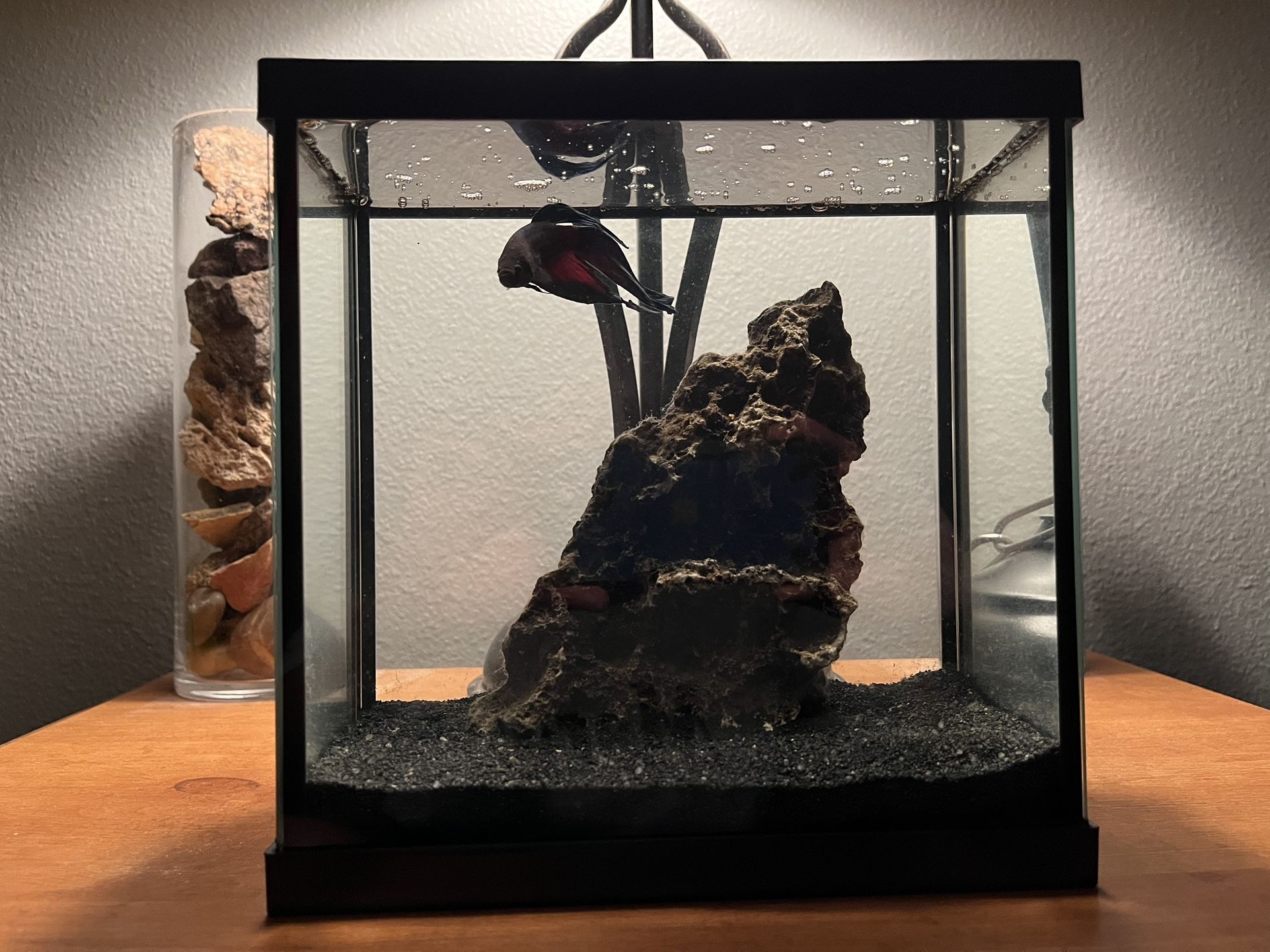 1Gallon Betta Fish Tank
