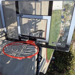 Lifetime Adjustable Basketball Hoop