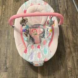 Bright Starts Baby Bouncer