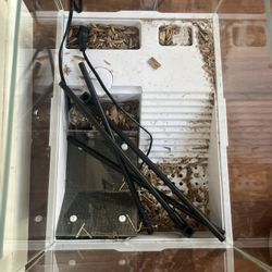 Small Reptile/turtle Home