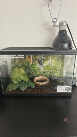 10 Gallon Fish Tank