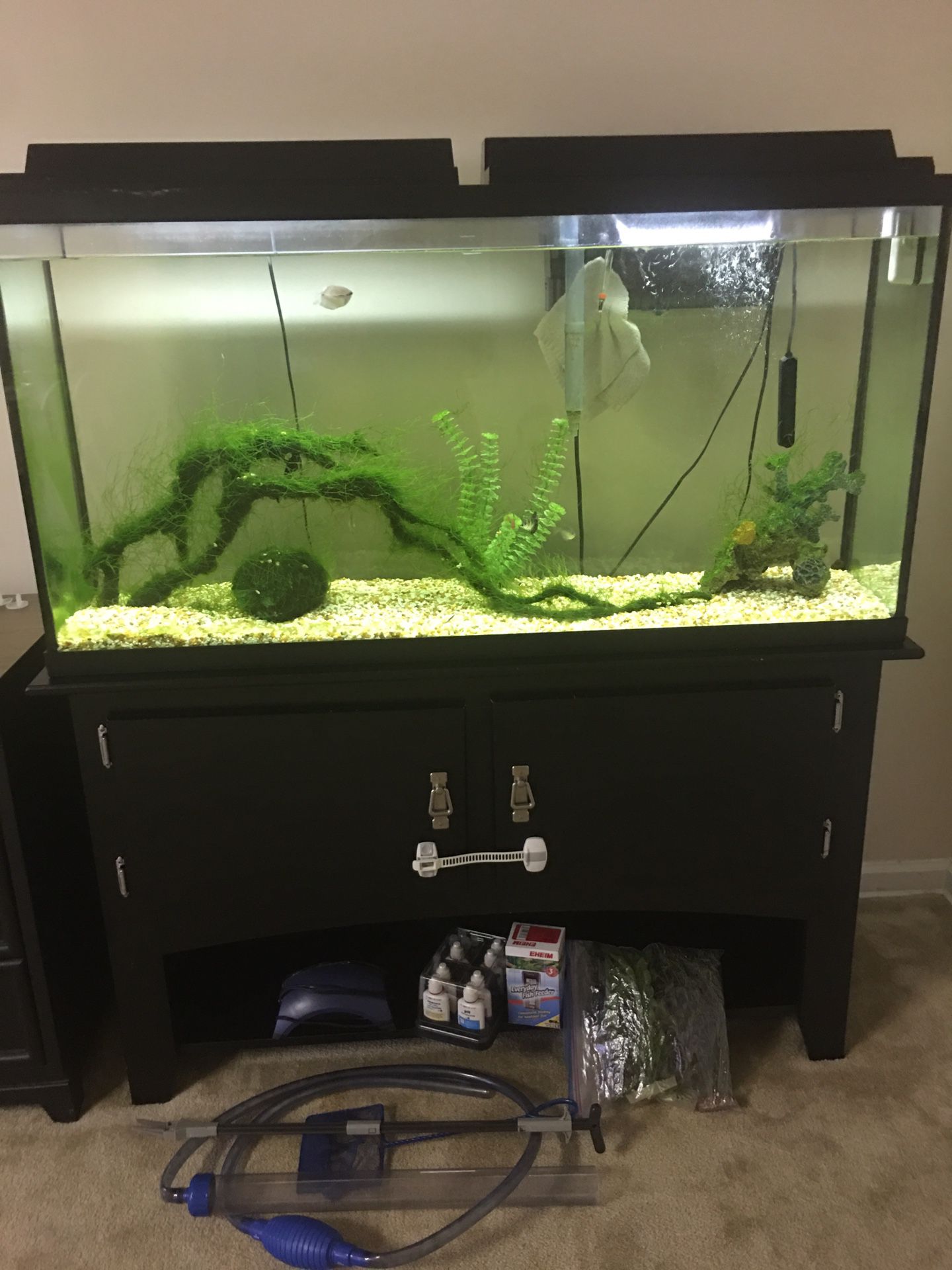 Fish tank 60 gallon