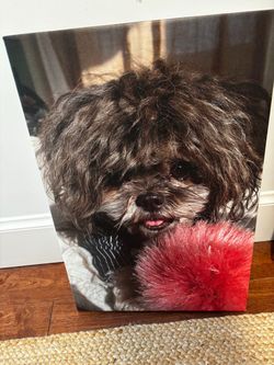 Custom Pet Photo Canvas Print