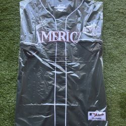 2001 All Star Game American League Blank Jersey Size XL. 