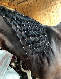 Trensas Para Caballos / Horse braiding hair