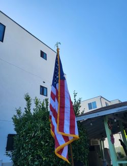 Annie and Co American Flag