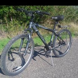 Trek Bike