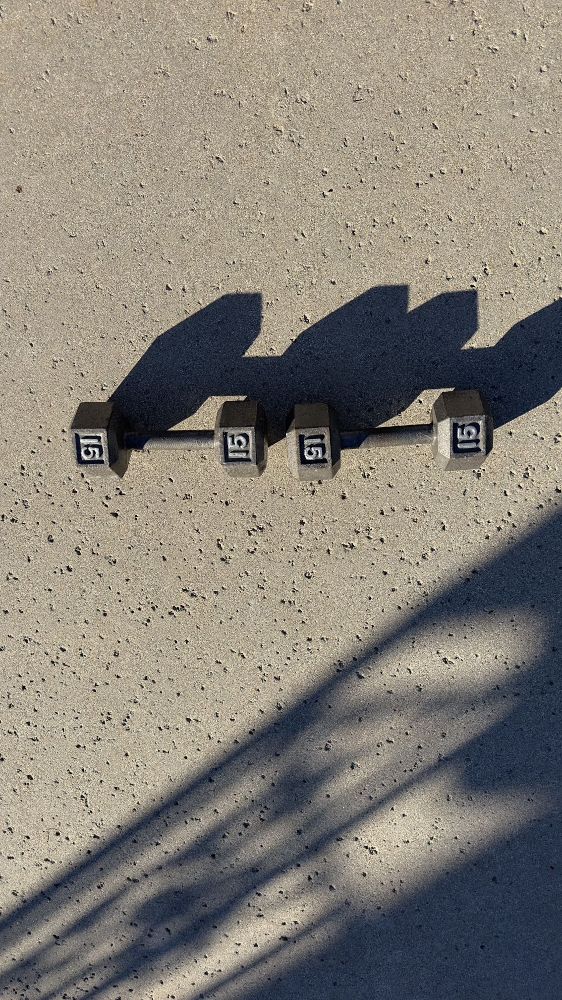 15 Pound Dumbbells