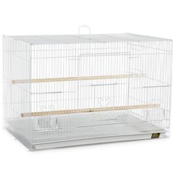 Bird cages