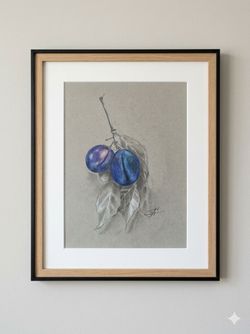 Pencil Drawing "Plum " 11x14"