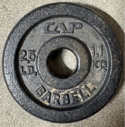 CAP Barbell 2.5 lb Cast Iron Weight Plate