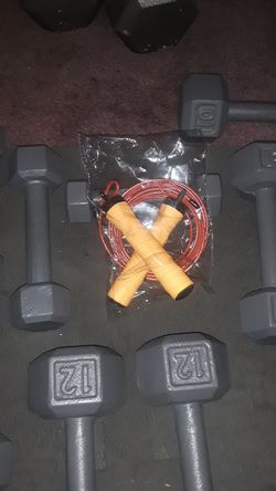 Steel cable Jump rope with bearings $25
