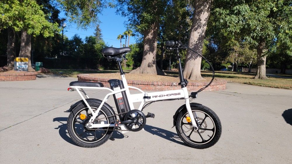 Folding Electric Bike